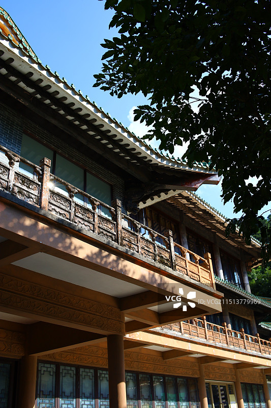 佛山市南海湾森林生态园图片素材