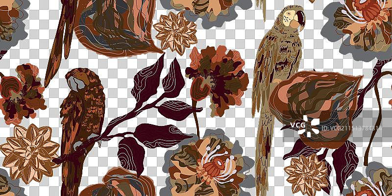 金刚鹦鹉与鲜花热带异域鸟类图片素材