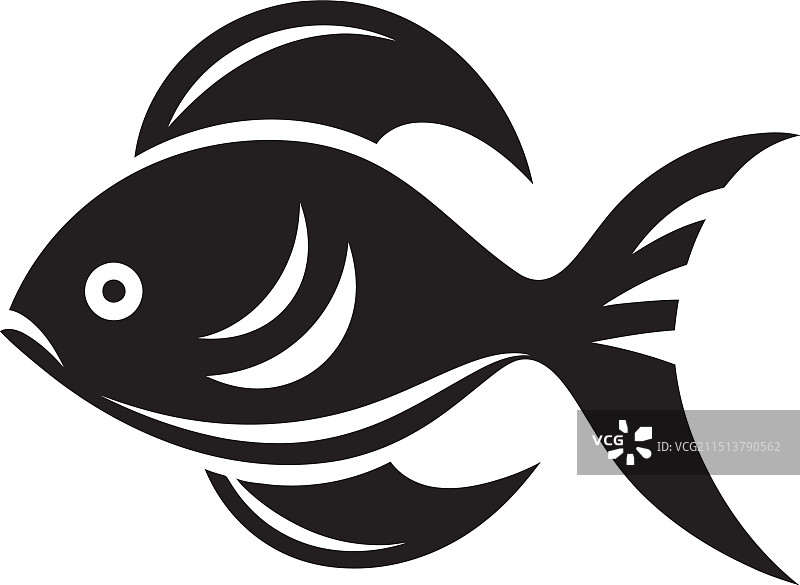 迷人的孔雀鱼世界图片素材