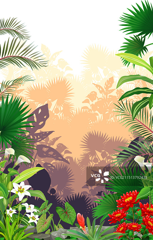 有热带植物和鲜花的美丽森林图片素材