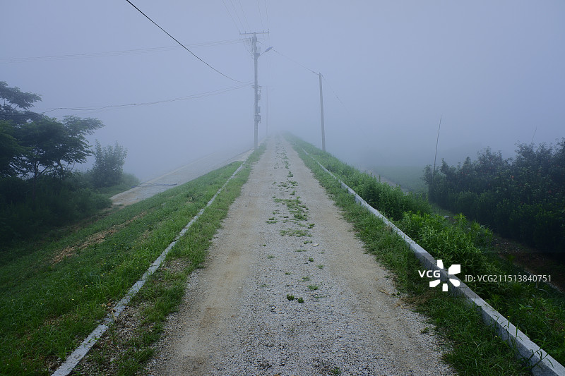 雾中道路图片素材