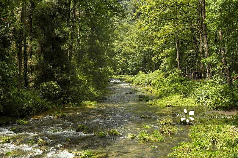 张家界国家森林公园金鞭溪图片素材