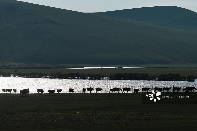 额尔古纳右岸风光③图片素材