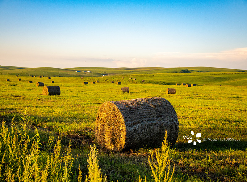 内蒙古呼伦贝尔市草原草垛图片素材