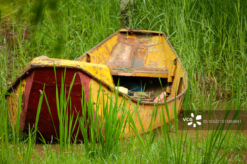 一艘破旧的黄色小船搁浅在茂密的绿草丛中，色彩对比鲜明，充满自然与时间的痕迹图片素材