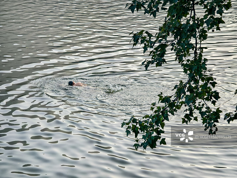 在湖中游泳的人图片素材