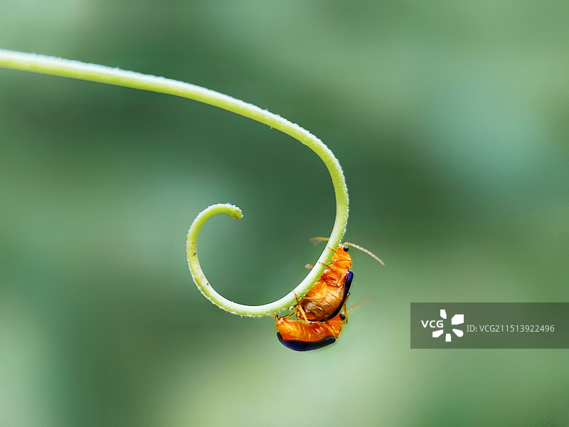 在那一刻图片素材