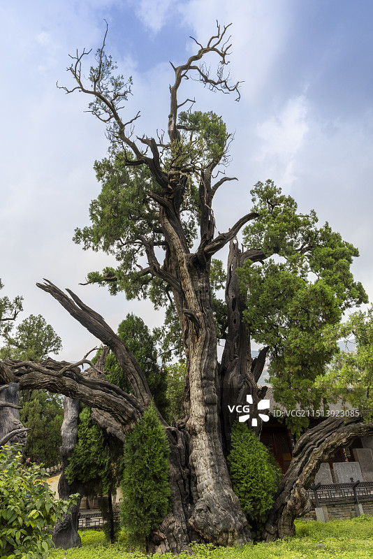 河南省郑州市登封市嵩阳书院图片图片素材