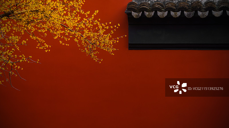 苏州吴江昭灵观 梅倚红墙图片素材