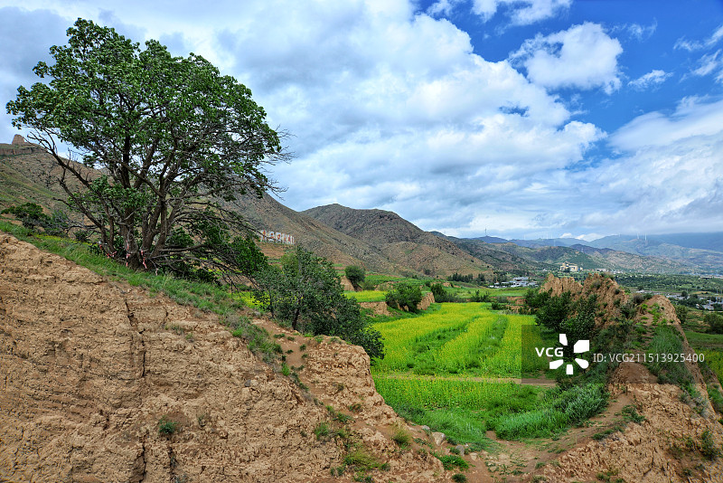 山西天镇县李二口长城， 24.08.10日摄于山西长城一号旅游公路沿途。图片素材