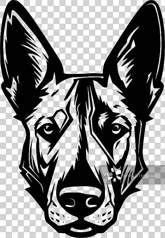 澳大利亚卡尔比犬 - 简约风格图片素材