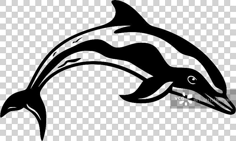 黑白海豚图片素材