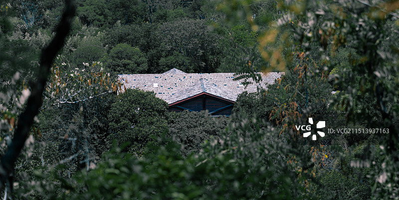 森林建筑图片素材