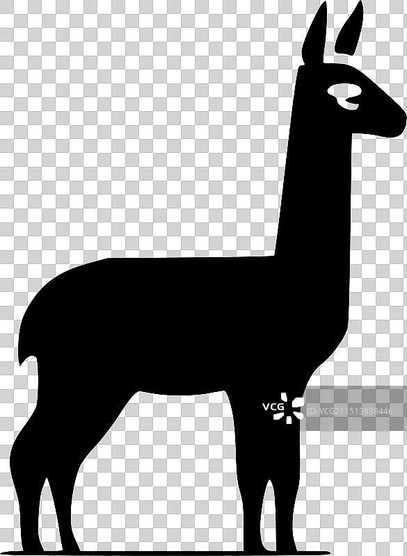 美洲驼高品质logo，T恤理想选择图片素材