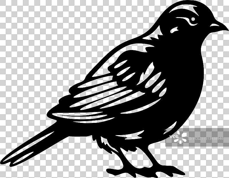 鸽子 - 简约剪影图片素材