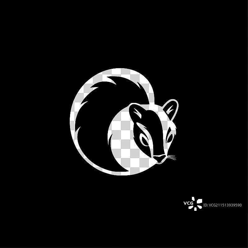 黑白臭鼬图片素材