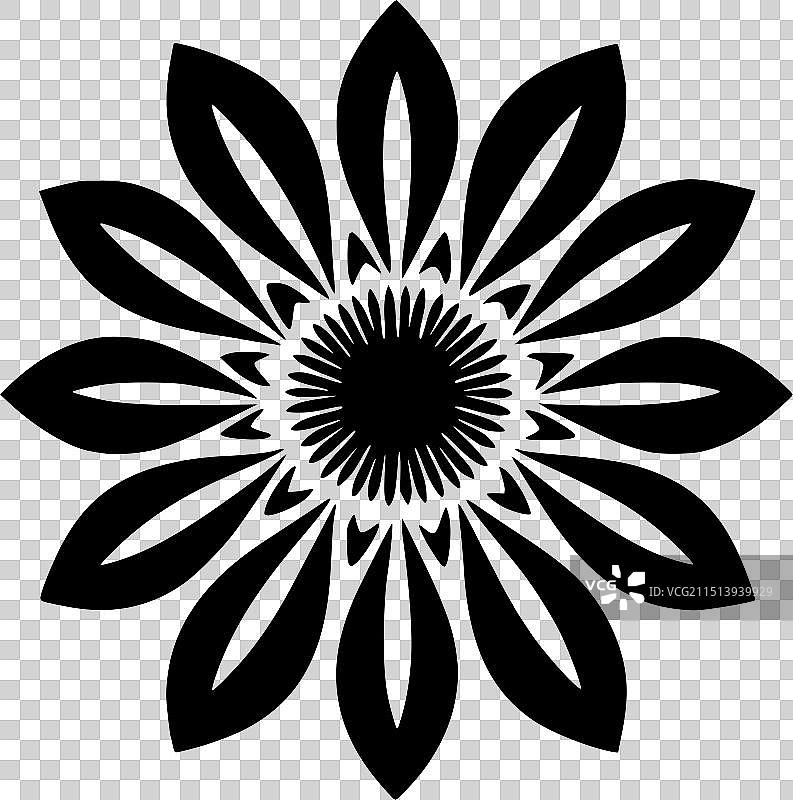 黑白向日葵图片素材