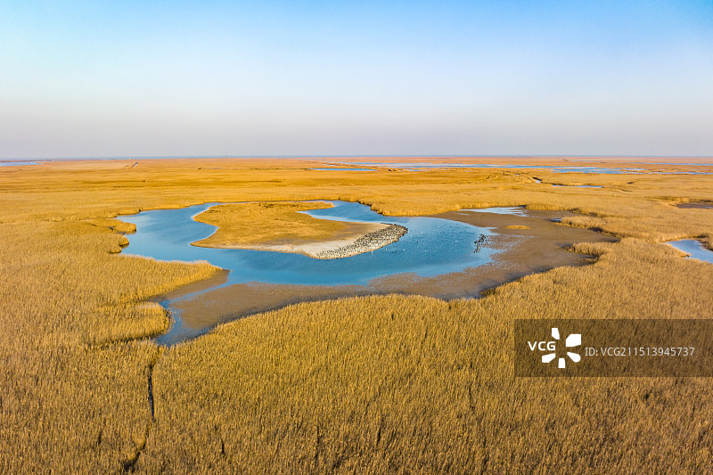 江苏盐城湿地珍禽国家级自然保护区风景图片素材