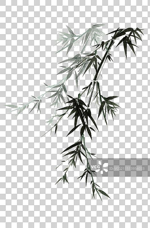 竹子竹叶—国画写意古风水墨图片素材