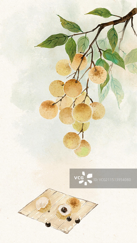 龙眼节气水果白露—国画写意古风插画背景图片素材