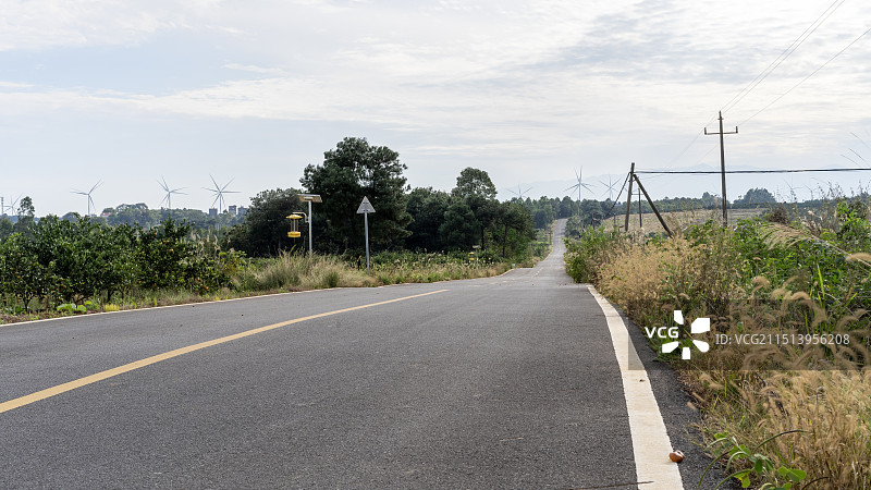 秋天湖南永州江永县回龙圩农场道路两旁的桔园图片素材