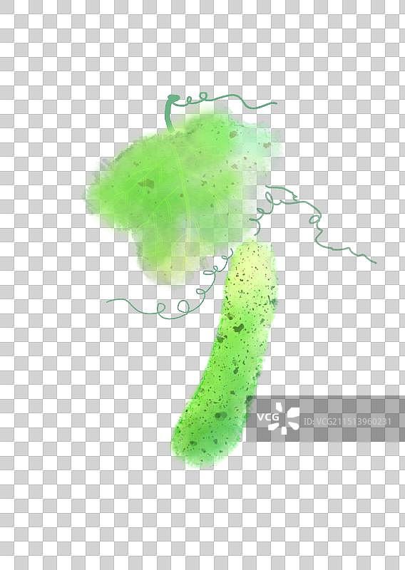 一只有机种植的农产品青瓜水果黄瓜板绘插画图片素材