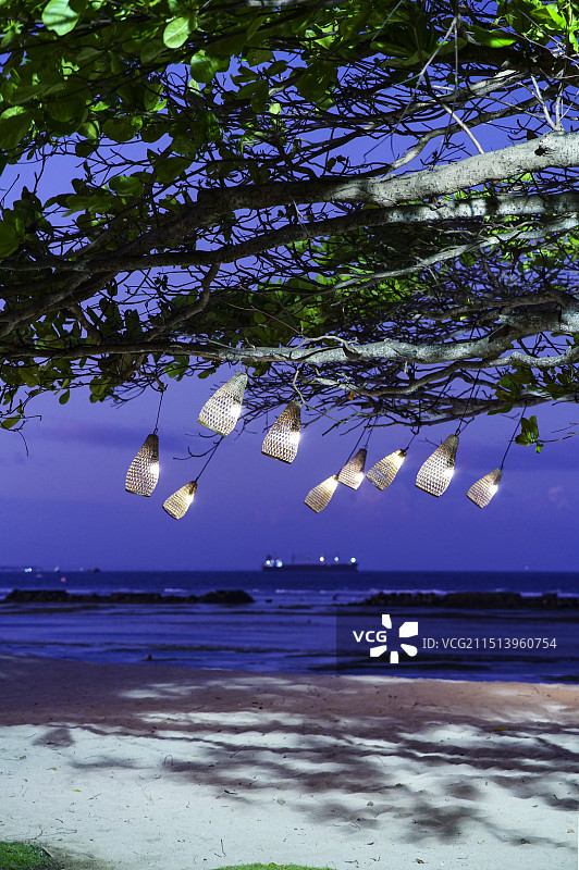 大海边沙滩树上的竹制灯笼图片素材