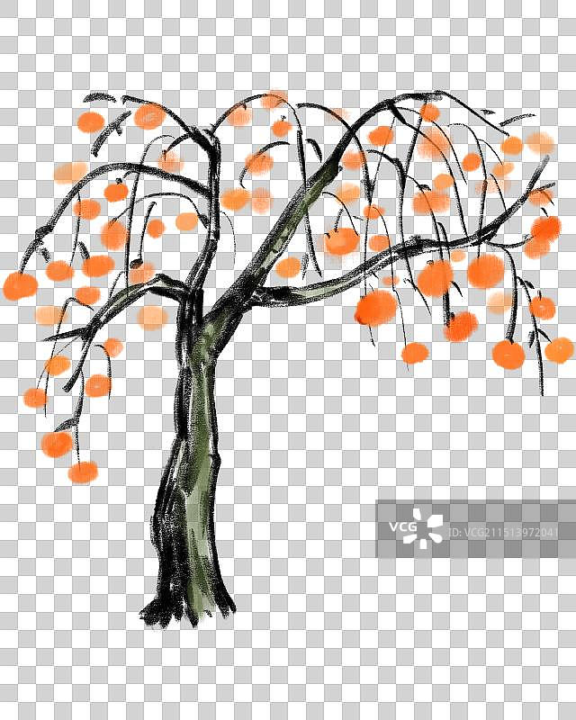 石榴树图片素材