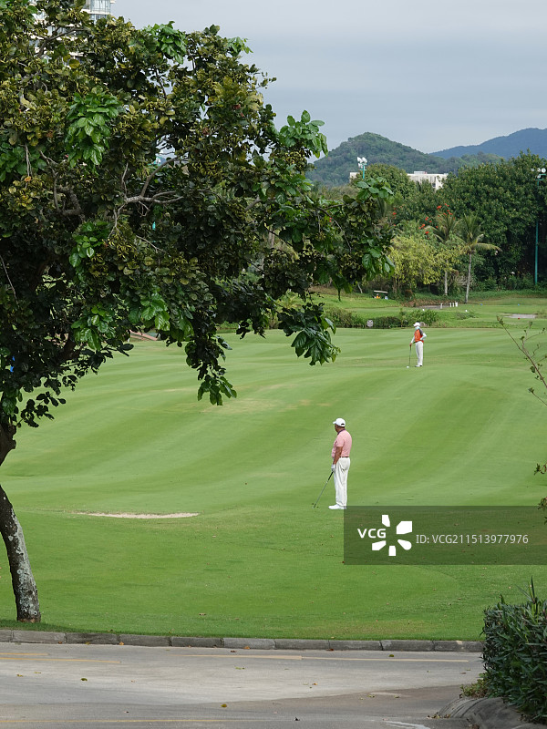 高尔夫球场图片素材