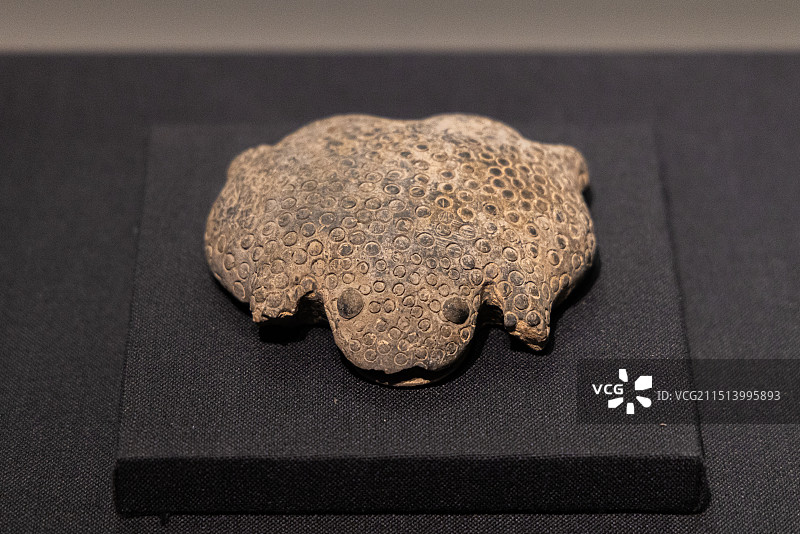 河南洛阳二里头夏都遗址博物馆 夏代 陶蟾蜍（祭祀品）图片素材