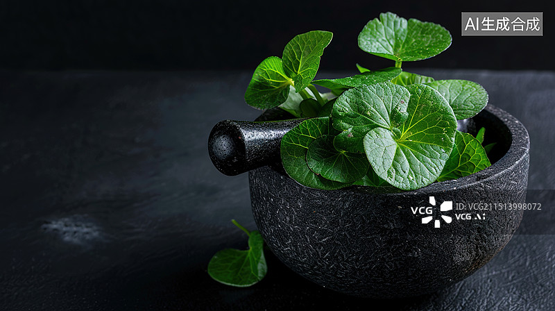 【AI数字艺术】装在石臼里面的积雪草特写图片素材