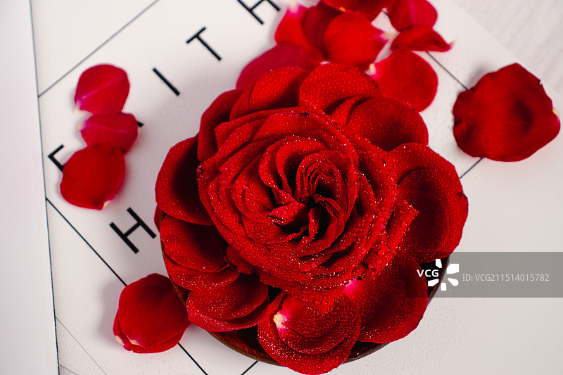 玫瑰花图片素材