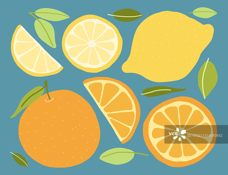 彩色柑橘水果和树叶图片素材