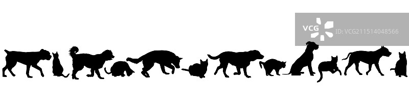 猫狗宠物边框图片素材