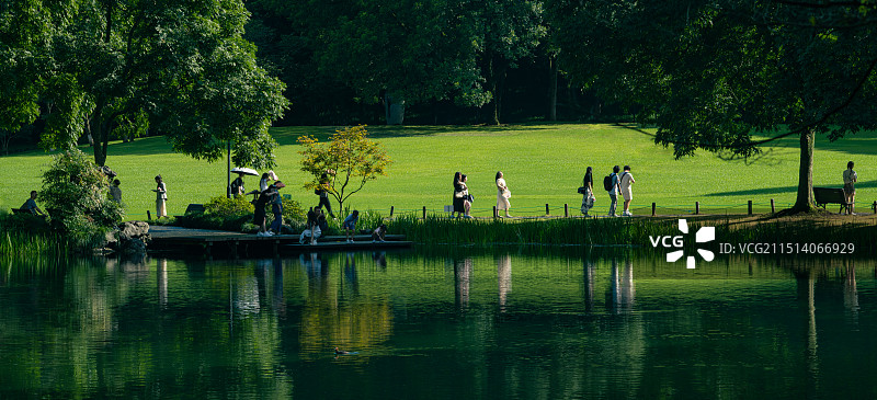 阳光明媚的太子湾公园图片素材