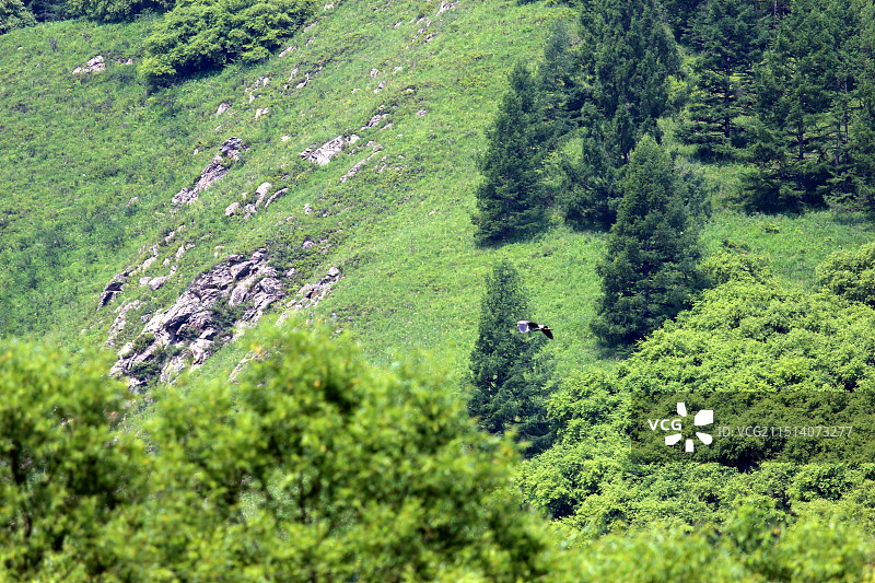 阿尔山市火车站和郊外美景长焦特写图片素材