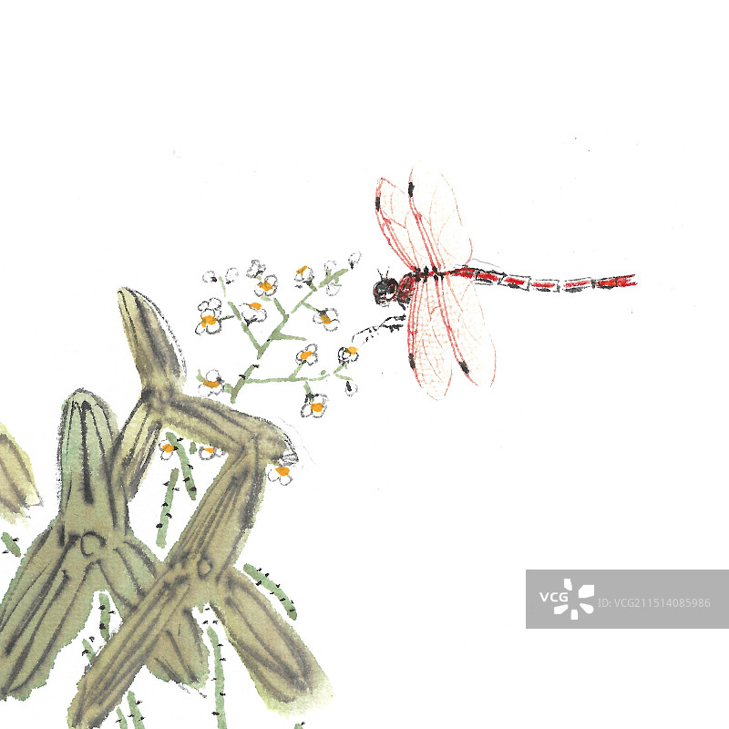 唯美清新手绘蜻蜓插画图片素材