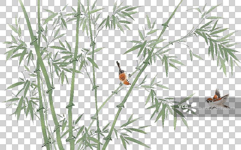 手绘中国风水墨水彩竹子竹林插画装饰画图片素材