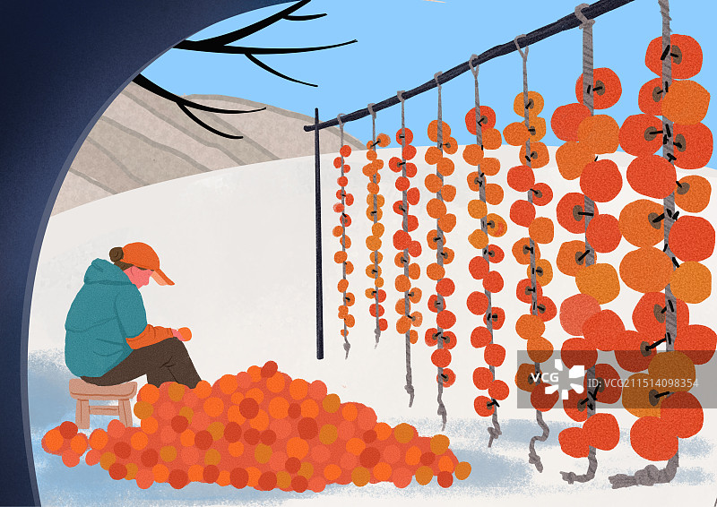 晒柿子图片素材