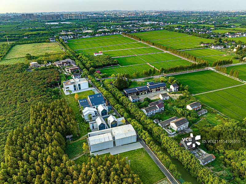 香地艺术中心 上海松江长溇村 农村房屋改建的美术馆 稻田乡野隐居图片素材