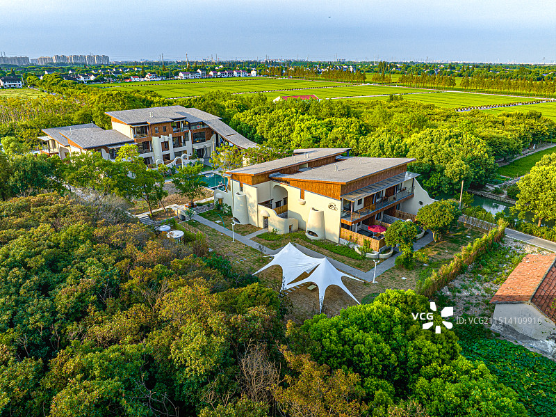 大树与稻田乡村艺术中心 上海松江长溇村美丽乡村建设 农房改建民宿 回归理想田园生活图片素材
