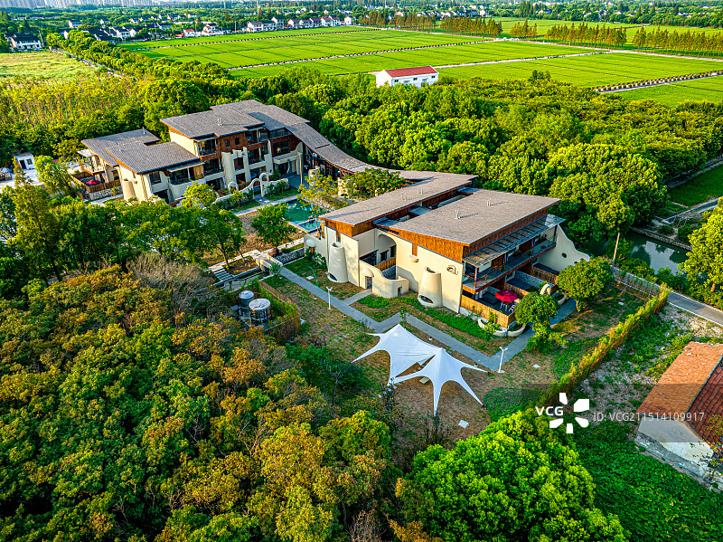 大树与稻田乡村艺术中心 上海松江长溇村美丽乡村建设 农房改建民宿 回归理想田园生活图片素材