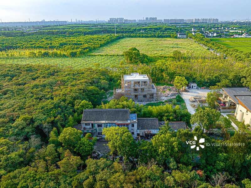 大树与稻田乡村艺术中心 上海松江长溇村美丽乡村建设 农房改建民宿 回归理想田园生活图片素材