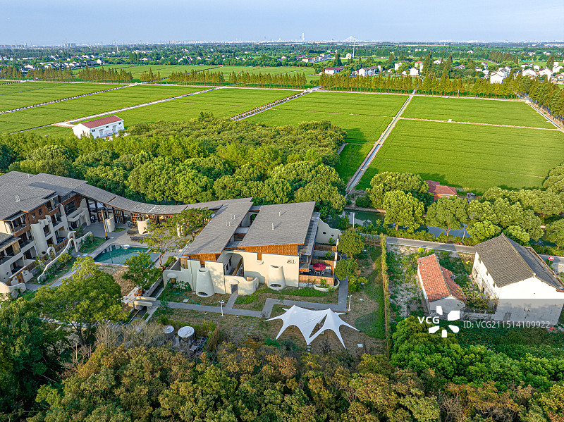 大树与稻田乡村艺术中心 上海松江长溇村美丽乡村建设 农房改建民宿 回归理想田园生活图片素材