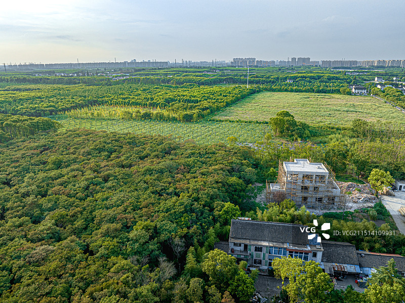 大树与稻田乡村艺术中心 上海松江长溇村美丽乡村建设 农房改建民宿 回归理想田园生活图片素材