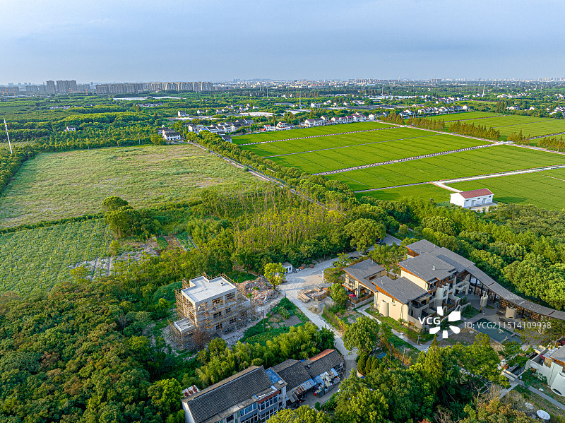 大树与稻田乡村艺术中心 上海松江长溇村美丽乡村建设 农房改建民宿 回归理想田园生活图片素材