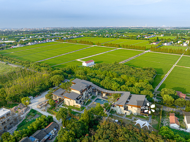 大树与稻田乡村艺术中心 上海松江长溇村美丽乡村建设 农房改建民宿 回归理想田园生活图片素材