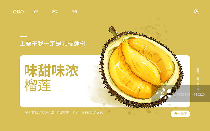 水果榴莲插画宣传海报版式设计模板图片素材