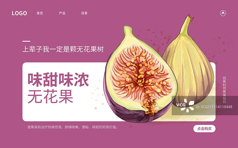 水果无花果插画宣传海报版式设计模板图片素材