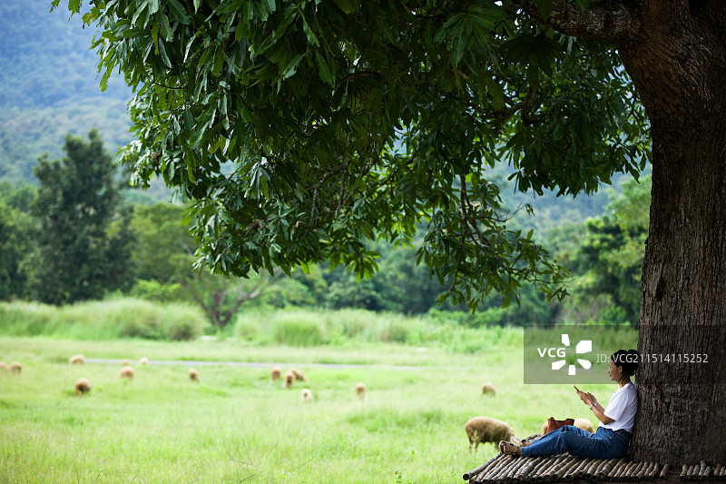 以为女子在大树下享受宁静的田园时光，看着远处悠闲吃草的羊群图片素材